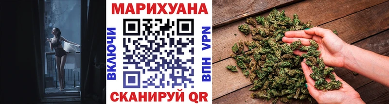 Канабис сатива  Грозный 